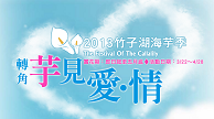 2013竹子湖海芋季