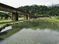 東岳湧泉．蛇山步道