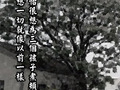 想念孩子的病媽媽