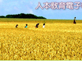 令人遺憾的山寨版十二年國教