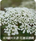 瑞穗牧場