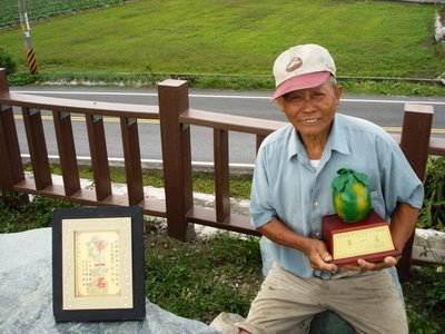 台灣哈密瓜評鑑常勝軍！壯圍官記哈密瓜園