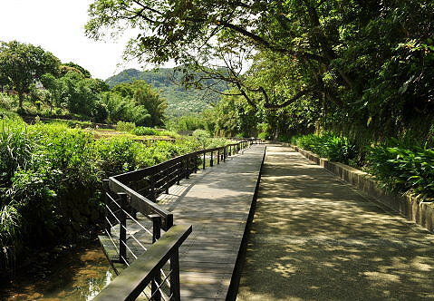 图:头寮生态步道