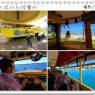 關島 關島查顏關色之旅 跟著黃色暢玩關島 搭乘趣味的水陸兩用DUCK TOUR鴨子船 親自體驗當船長水中開船的樂趣