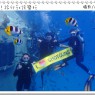 關島 魚眼海洋公園水肺潛水體驗 繽紛黃色魚群悠遊海底世界 來關島沒有玩潛水別說你來過關島 超推薦小康潛水 不會英文也不用怕 中文解說讓你更安心