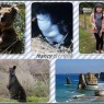 2012澳洲~墨爾本&大洋路自助旅行