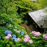 山海鎌倉 • 旅中隨帖