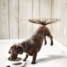 Purina狗食 + 4廣告設計
