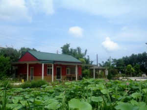 光倫禪淨蓮坊(2012桃園蓮花季)