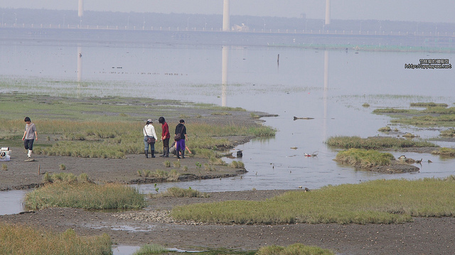 20120327、28高美濕地