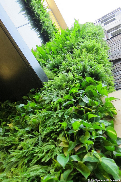 PhotoCap_002