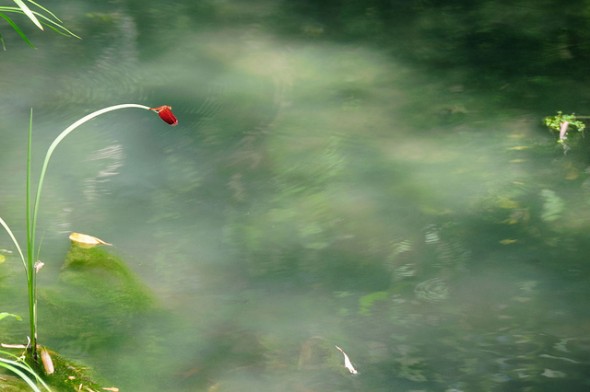 小琉球碧雲寺竹林生態池