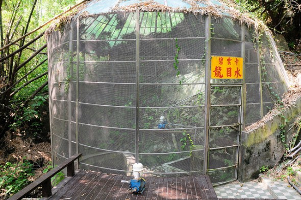 小琉球碧雲寺竹林生態池