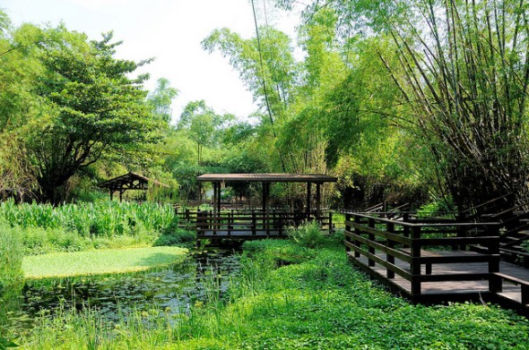 小琉球碧雲寺竹林生態池