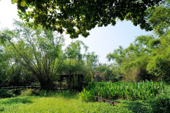 小琉球碧雲寺竹林生態池