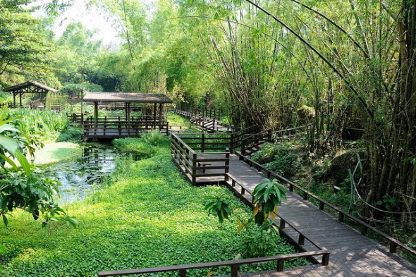 小琉球碧雲寺竹林生態池